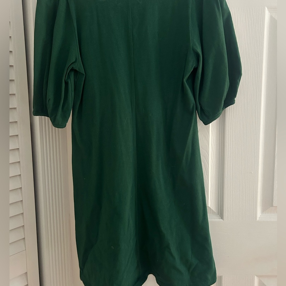 Velvet by Graham & Spencer Green Mini Dress - Picture 4 of 7